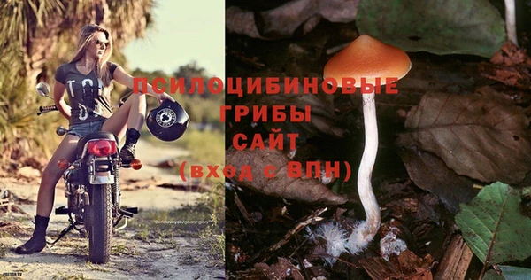 марки lsd Алексеевка
