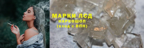 ПСИЛОЦИБИНОВЫЕ ГРИБЫ Алексин
