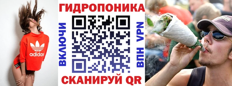 Канабис план Енисейск